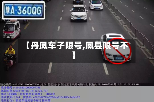 【丹凤车子限号,凤县限号不】