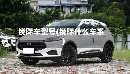 锐际车型号(锐际什么车系)