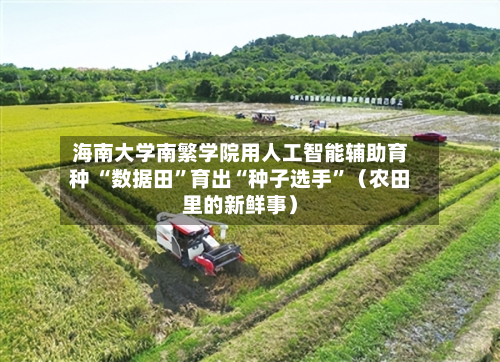 海南大学南繁学院用人工智能辅助育种 “数据田”育出“种子选手”（农田里的新鲜事）-第2张图片