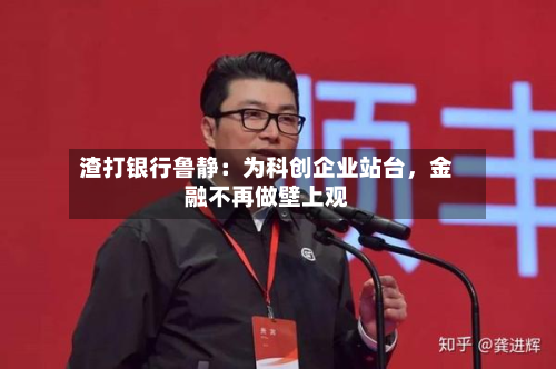 渣打银行鲁静：为科创企业站台，金融不再做壁上观-第2张图片