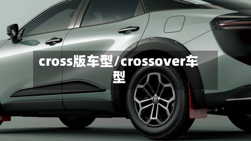cross版车型/crossover车型