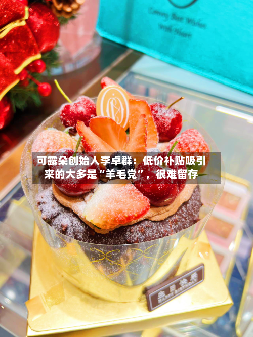 可露朵创始人李卓群：低价补贴吸引来的大多是“羊毛党”，很难留存-第2张图片