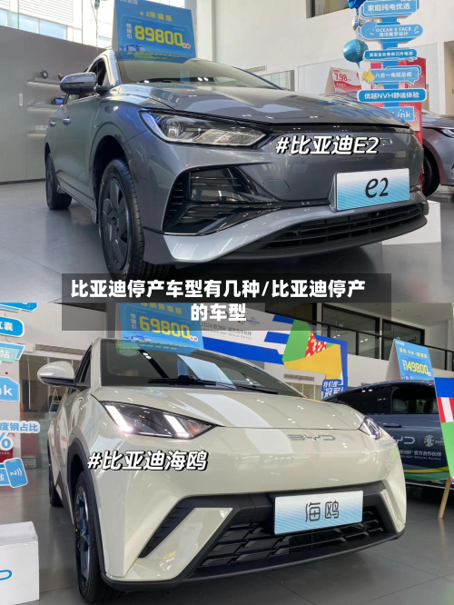比亚迪停产车型有几种/比亚迪停产的车型-第3张图片