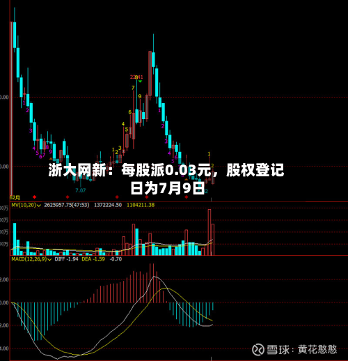 浙大网新：每股派0.03元，股权登记日为7月9日