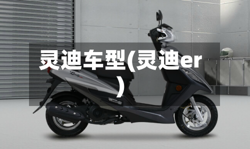 灵迪车型(灵迪er)