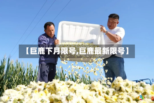 【巨鹿下月限号,巨鹿最新限号】