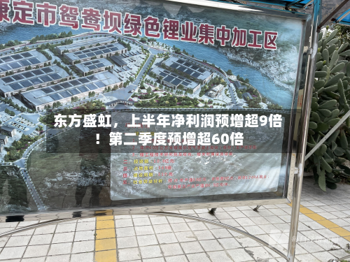 东方盛虹，上半年净利润预增超9倍！第二季度预增超60倍-第1张图片