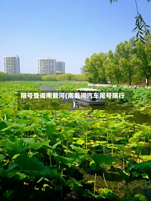 限号查询南戴河(南戴河汽车尾号限行)