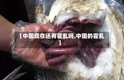 【中国现在还有霍乱吗,中国的霍乱】-第2张图片