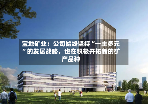 宝地矿业：公司始终坚持“一主多元”的发展战略	，也在积极开拓新的矿产品种-第1张图片
