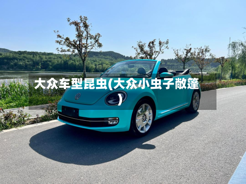 大众车型昆虫(大众小虫子敞篷)-第3张图片