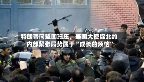 特朗普向盟国施压，美国大使称北约内部紧张局势属于“成长的烦恼”-第2张图片