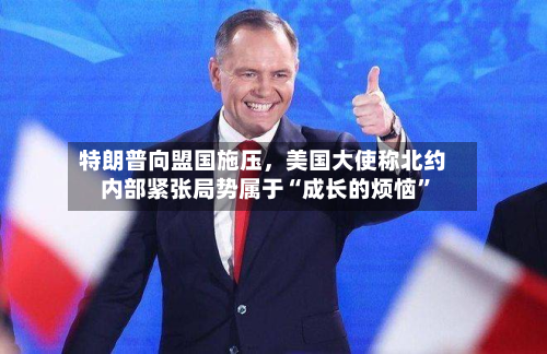 特朗普向盟国施压，美国大使称北约内部紧张局势属于“成长的烦恼”-第1张图片