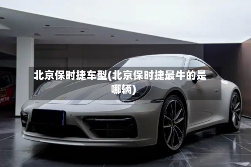 北京保时捷车型(北京保时捷最牛的是哪辆)
