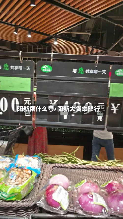 阳新限什么号/阳新大货车限行-第2张图片