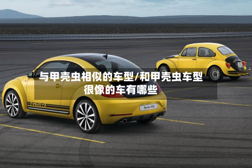 与甲壳虫相似的车型/和甲壳虫车型很像的车有哪些-第2张图片