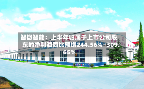 智微智能：上半年归属于上市公司股东的净利润同比预增244.56%—309.65%-第3张图片