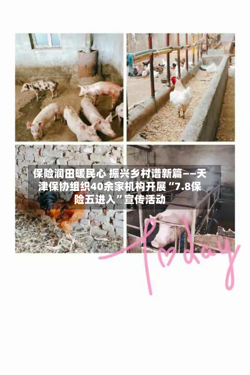保险润田暖民心 振兴乡村谱新篇——天津保协组织40余家机构开展“7.8保险五进入”宣传活动