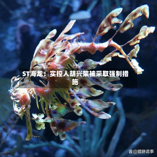 ST海龙：实控人胡兴荣被采取强制措施