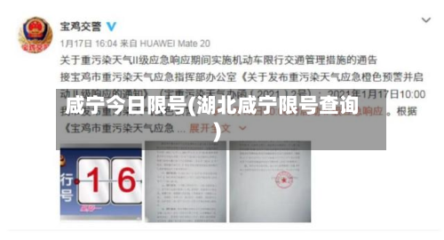 咸宁今日限号(湖北咸宁限号查询)-第2张图片