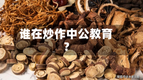 谁在炒作中公教育？