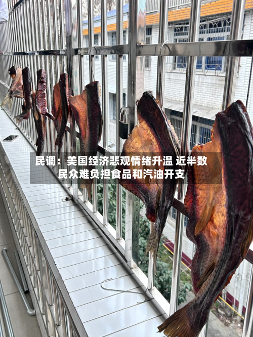 民调：美国经济悲观情绪升温 近半数民众难负担食品和汽油开支-第2张图片