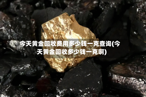 今天黄金回收费用多少钱一克查询(今天黄金回收多少钱一克啊)-第2张图片