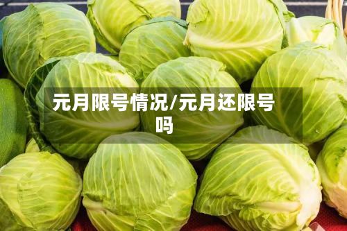 元月限号情况/元月还限号吗