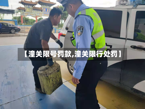 【潼关限号罚款,潼关限行处罚】-第3张图片