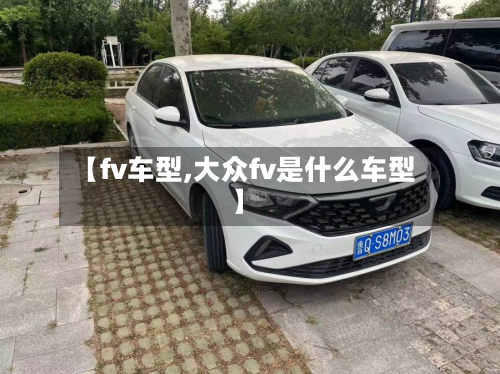 【fv车型,大众fv是什么车型】-第3张图片