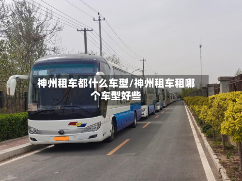 神州租车都什么车型/神州租车租哪个车型好些