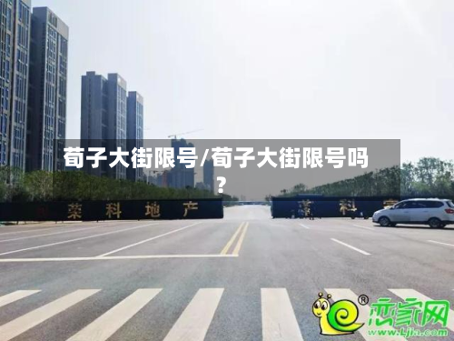 荀子大街限号/荀子大街限号吗?