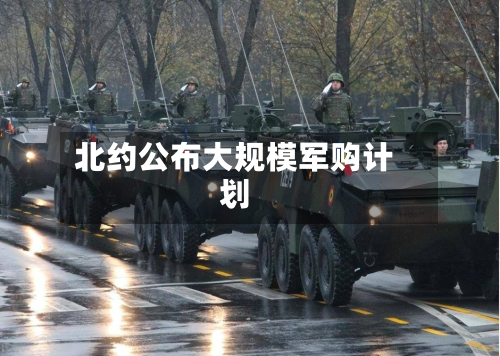 北约公布大规模军购计划-第2张图片