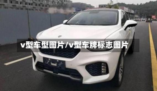v型车型图片/v型车牌标志图片