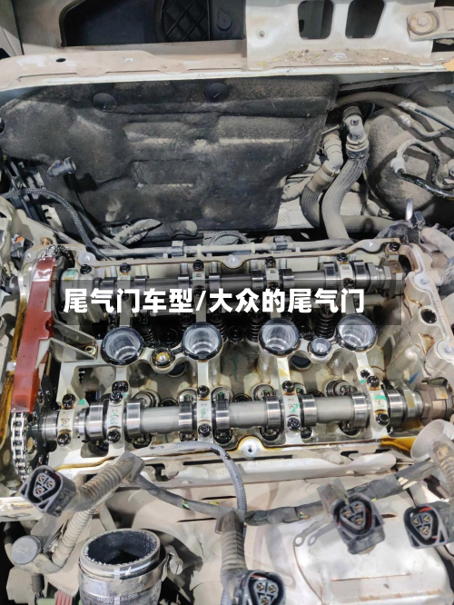 尾气门车型/大众的尾气门-第2张图片