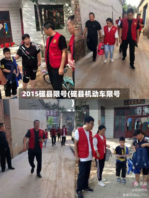 2015磁县限号(磁县机动车限号)-第3张图片