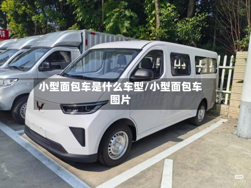 小型面包车是什么车型/小型面包车图片