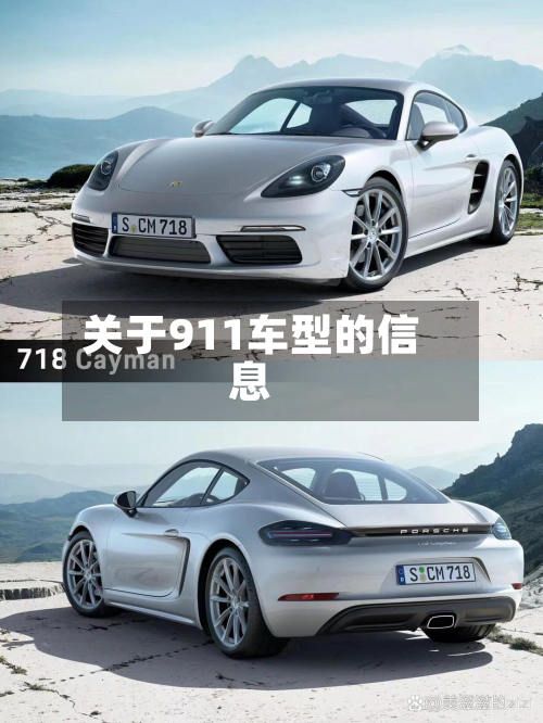 关于911车型的信息
