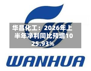 华昌化工：2026年上半年净利同比预增1025.93%-第2张图片
