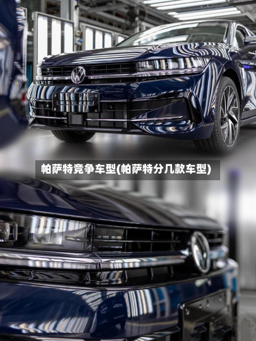 帕萨特竞争车型(帕萨特分几款车型)