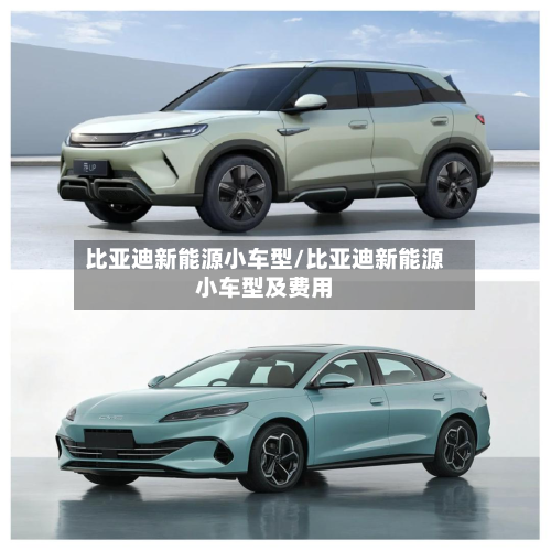 比亚迪新能源小车型/比亚迪新能源小车型及费用