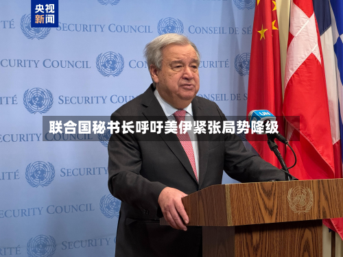 联合国秘书长呼吁美伊紧张局势降级