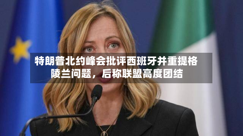 特朗普北约峰会批评西班牙并重提格陵兰问题，后称联盟高度团结-第1张图片