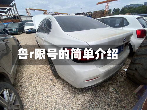 鲁r限号的简单介绍-第2张图片