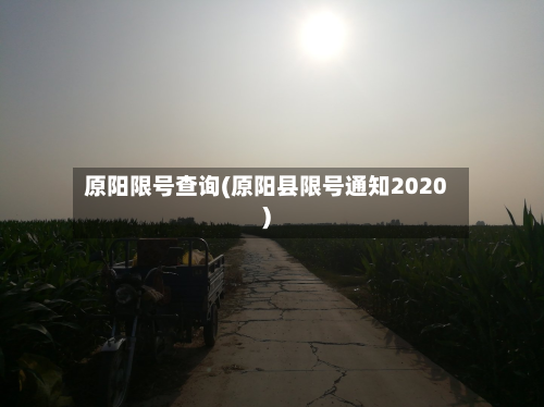 原阳限号查询(原阳县限号通知2020)-第2张图片