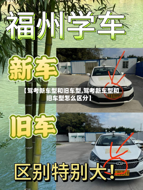 【驾考新车型和旧车型,驾考新车型和旧车型怎么区分】-第3张图片