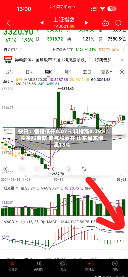 快讯：恒指低开0.07% 科指涨0.29% 黄金股普跌 油气股高开 山东墨龙涨超13%-第1张图片