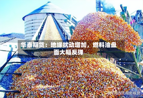 华泰期货：地缘扰动增加	，燃料油盘面大幅反弹-第1张图片