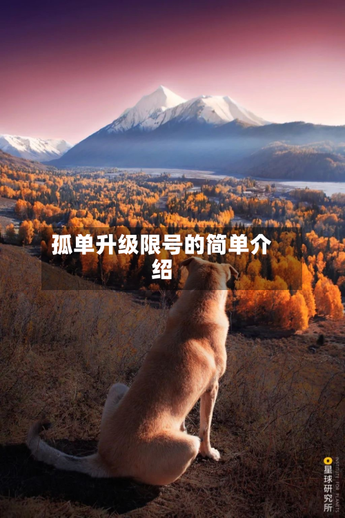 孤单升级限号的简单介绍-第2张图片