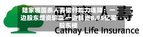 陆家嘴国泰人寿偿付能力连降：一边股东增资输血 一边耗资8.95亿买股东楼-第2张图片